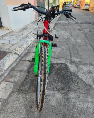 bici originale