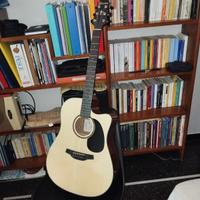 Crafter HD250 CE NAT