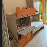 Cameretta multicolor