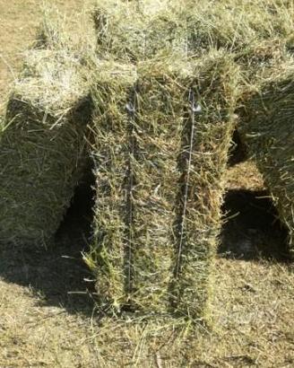 Fieno di erbametica