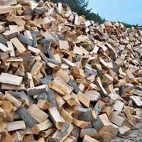 Legna da ardere secca