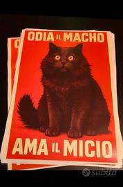 Poster Micio Macho formato A3 