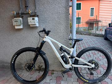 Mtb enduro 29Specilized stumpjumper Evo expert 29