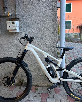 Mtb enduro 29Specilized stumpjumper Evo expert 29