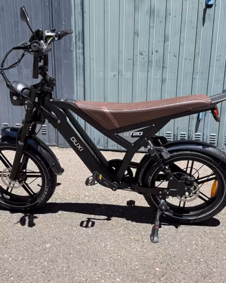 Bici elettrica