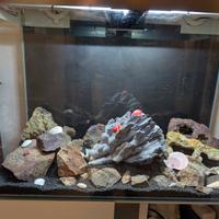 acquario ciano 80 