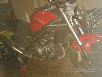 Cagiva raptor iscritto asi