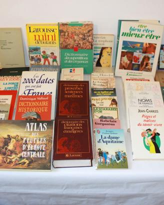 40 Manuali scrittura Francese e dizionari
