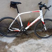 Specialized in carbonio taglia xl