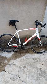 Specialized in carbonio taglia xl