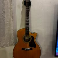 Chitarra acustica richwood g65 ceva