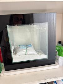 acquario con sabbia