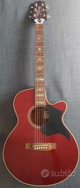 Chitarra acustica Takamine EG 260 C WR