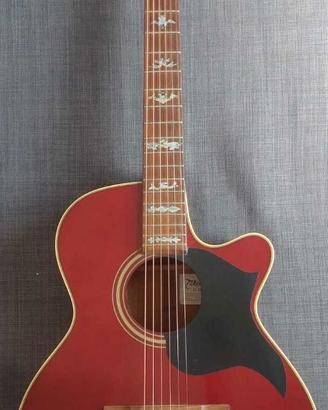 Chitarra acustica Takamine EG 260 C WR