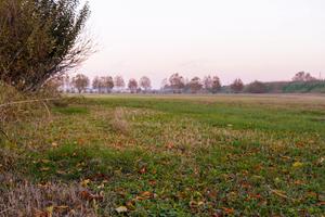 Terreno  Monselice 