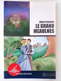 Le Grand Meaulnes" DELF B1 Studio Francese Libro