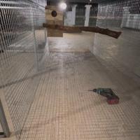 Realizzazione di voliere per pappagalli