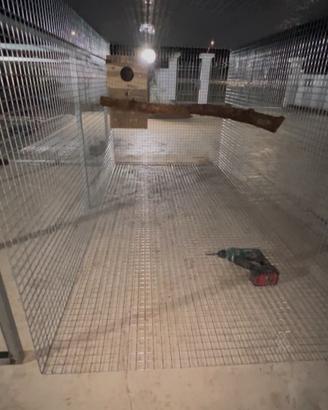 Realizzazione di voliere per pappagalli