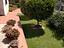 Immagine 7