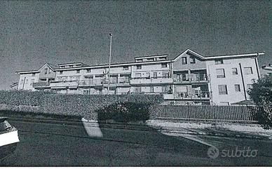 RGE 146/2024 Trib Pavia