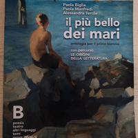 Libro Il più bello dei mari B