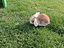 Immagine 2