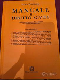 Manuale Diritto Civile (9ª edizione) Perlingieri