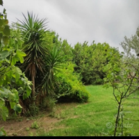 Terreno non edificabile alla periferia di Grosseto