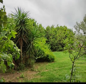 Terreno non edificabile alla periferia di Grosseto