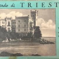 Cartoline di Trieste 16 vedute del passato