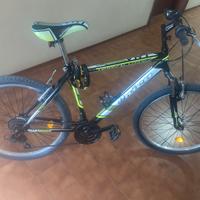 Mtb 26 pollici Unica