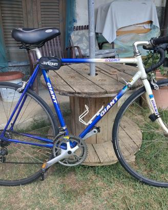 bicicletta Giant anni 90