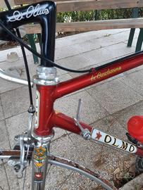 bicicletta olmo