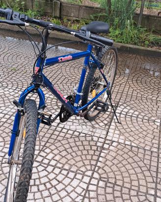 bici Mountain bike