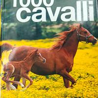 1000 cavalli