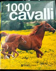 1000 cavalli
