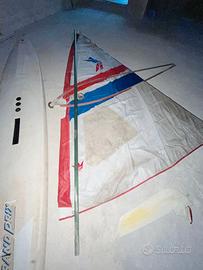 Windsurf vintage