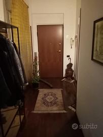 luminosissimo appartamento  