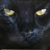 Gatto nero olio su tavola quadro dipinto