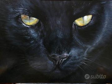 Gatto nero olio su tavola quadro dipinto