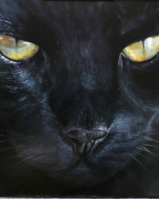 Gatto nero olio su tavola quadro dipinto