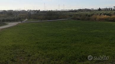 Terreno agricolo ad Olevano sul Tusciano