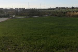 Terreno agricolo ad Olevano sul Tusciano