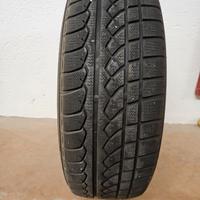 Antineve 195/65 R15