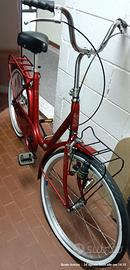Bicicletta pieghevole