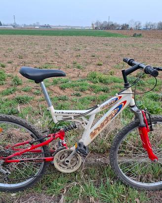 Bici Mountainbike