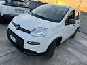 fiat-panda-pandina-1-0-firefly-65-cv-hybrid-pop