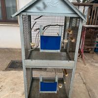 Voliera gabbia uccelli