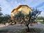 Immagine 28