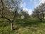 Immagine 18